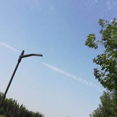 4399龙珠觉醒手游下载